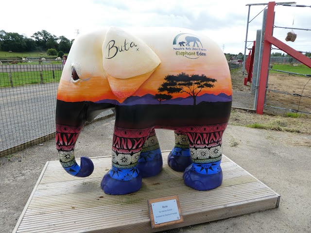 Noah's Ark Zoo Farm