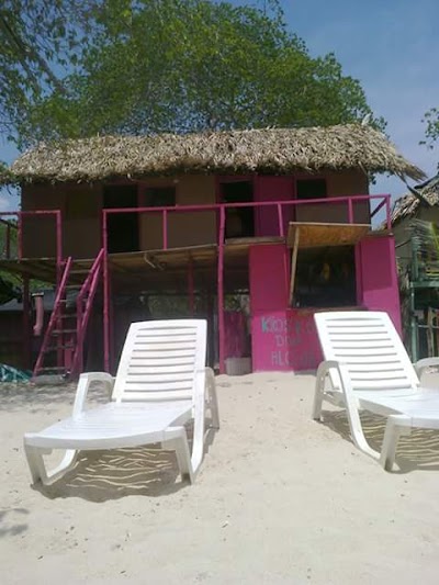 Photos of Hostal Donde Alcides