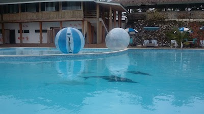 Photos of Gbedze Beach Resort