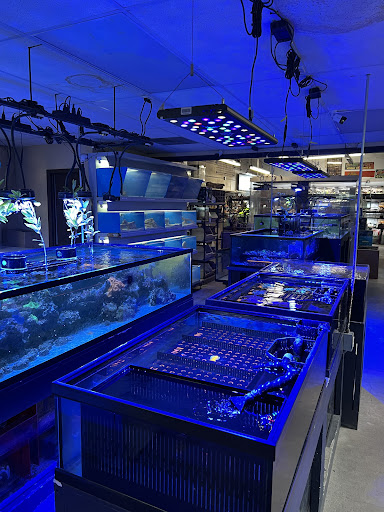 Salty Fish Aquariums