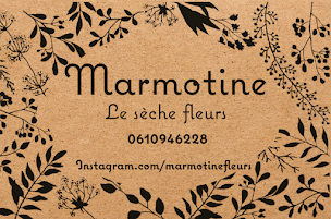 Photo n°12 de Marmotine le sèche-fleurs à Nice (Fleuriste)