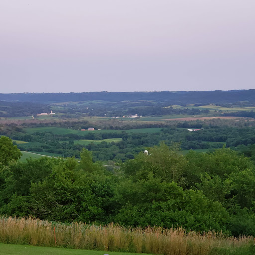Vino Over The Valley - Thumbnail