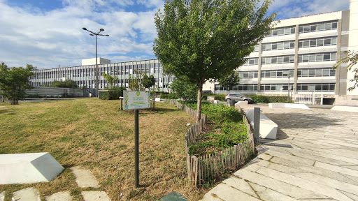 Parc Commandant Cousteau - Thumbnail