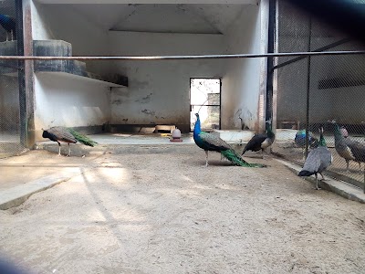 Photos of Bangladesh National Zoo