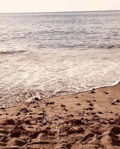 Photos of Anse Chastanet Beach