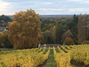 Photo n°15 de Château La Ronde à Le Tourne (Hôtel)