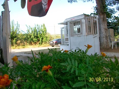 Photos of FAMILY CAMP BOARD of ABANT