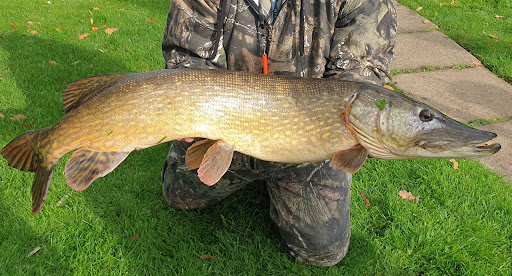 Wroxham Angling - Visual