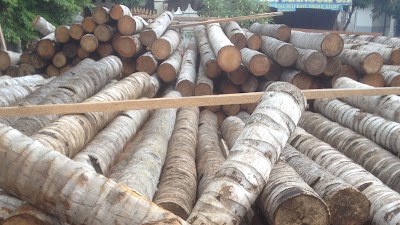 Photos of UD. Mansur Jaya Spesialis Kayu Kelapa