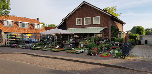 Bloembinderij de kelk - Thumbnail