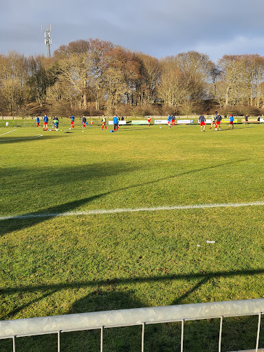 Carnoustie Panmure Football Club - Thumbnail