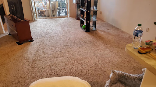 Go Green Dry Carpet Cleaning - Thumbnail