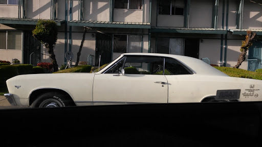 BMK CUSTOMS RESTORATION AND AUTO REPAIR - Thumbnail