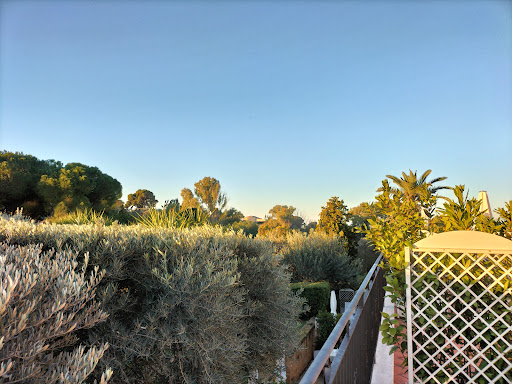Doric Bar - Visual