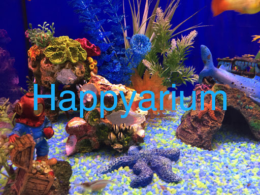 Happyarium - Cobham - Thumbnail