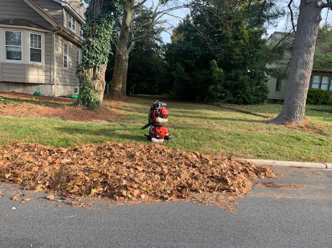 Afines Landscaping LLC | Woodbury NJ