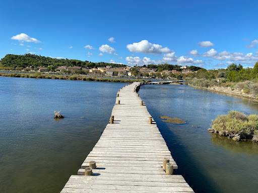Étang de Peyriac de mer