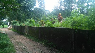 Photos of আকবর বাড়ী কবরস্থান