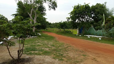 lodging