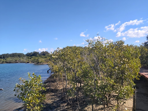 Beree-Badalla Reserve - Thumbnail