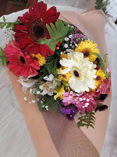 Distribuidora De Flores Villegas - Thumbnail