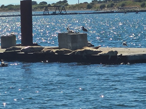 Blaine Harbor Boating Center Gallery - United States