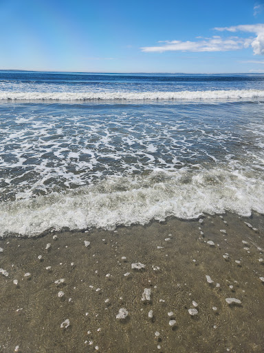 Snowberry Ocean View Park