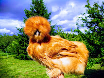 Le Cyprès Bleu (uniquement sur RDV) à Baurech