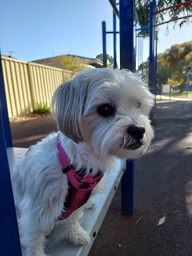 Hyde Street Reserve - Thumbnail