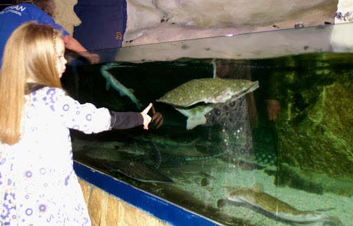 Photo de Musée d'Histoire de la Vie Quotidienne à Saint-Martin-en-Campagne (76370)