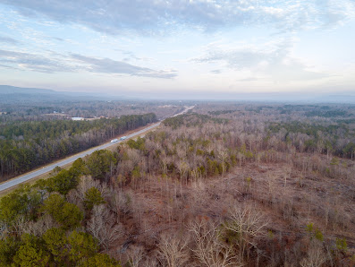 Wildman Digital Incorporated 106 S Hawk Dr, Rainbow City, AL 35906, United States