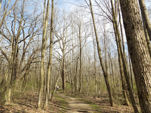 Rush Creek Conservation Area Gallery - United States