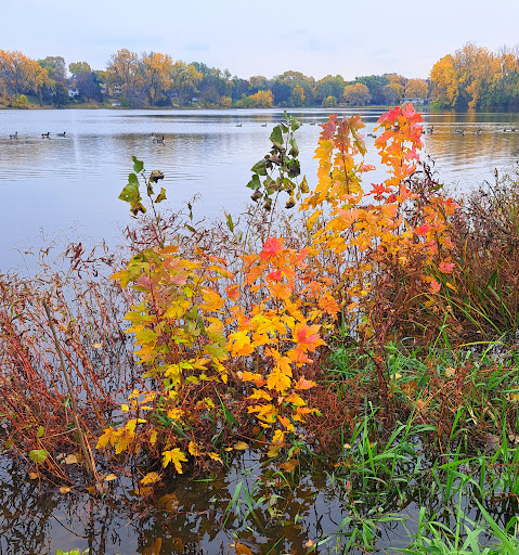 Lower Penn Lake Park - Thumbnail