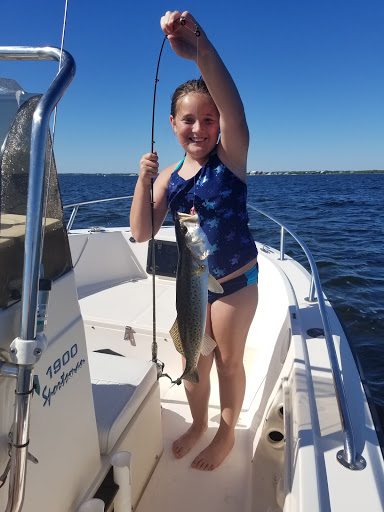 Cedar Island - Visual