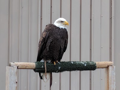 Zoo Idaho