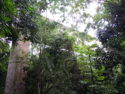 Photos of Parque Pedra Branca
