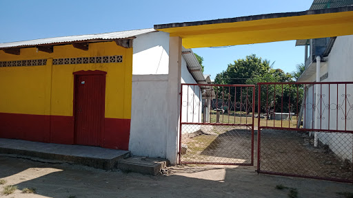 Sesecapa - Visual