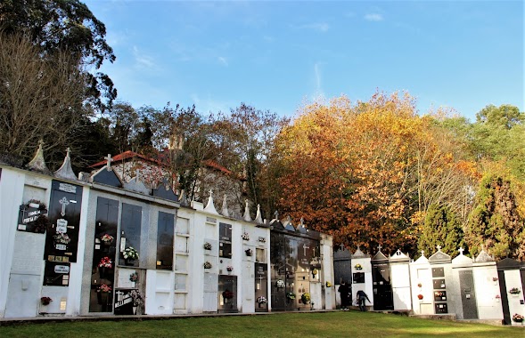 Cementerio de Lians, Author: Jose Manuel Alvarez Ilarri