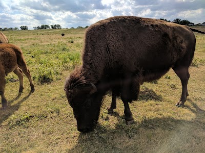 Pawnee County