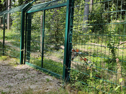 Wildpark Hundshaupten Gallery - United States