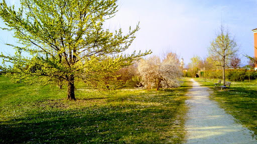Parco Maggiolino - Thumbnail