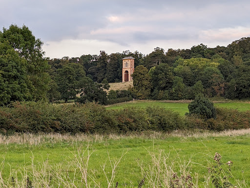 Belmont Tower - Thumbnail