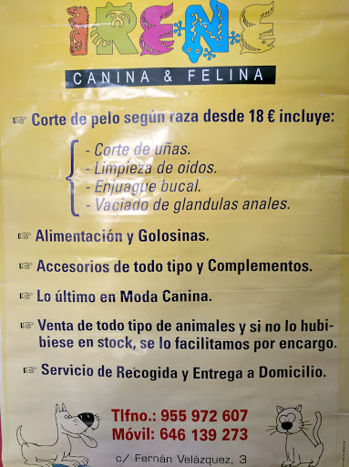 Peluquería Canina Y Felina Irene Gallery - Spain
