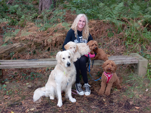 Dirty Mutts Dog Walking and Daycare