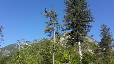 Photos of Valtramontina Campsites with restaurant and pizzeria