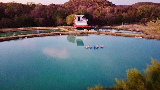 Rancho Sotolar - Glamping & Hotel - Thumbnail