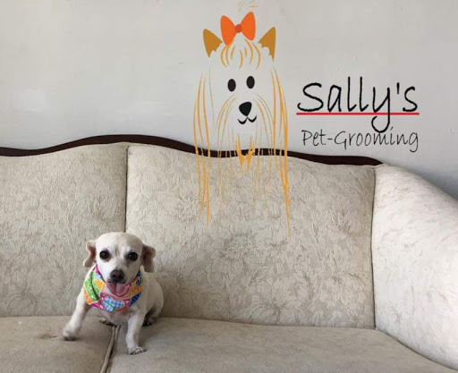 Sally's pet grooming - Thumbnail