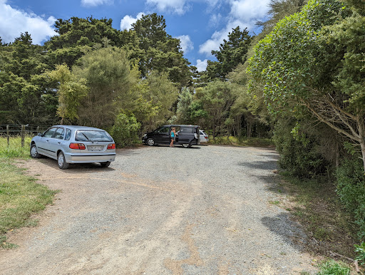 Taheke Falls Carpark and Trailhead - Thumbnail