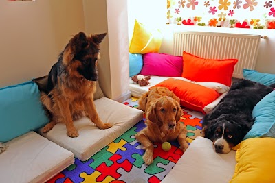 Photos of Pozito Pet Hotel