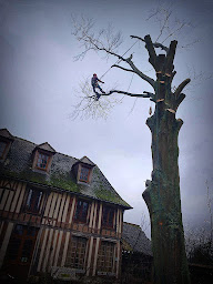 Photo n°3 de Arbor & Paysage à Beuzeville (Service d'élagage)